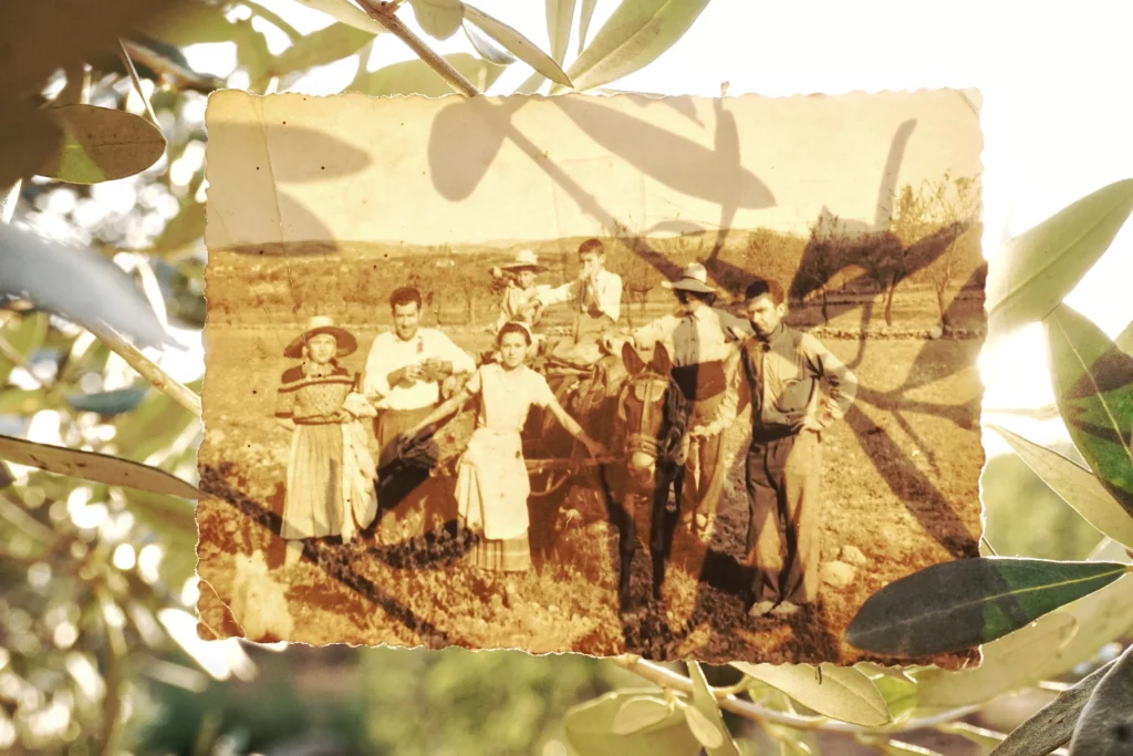 historia mas de pelegrí